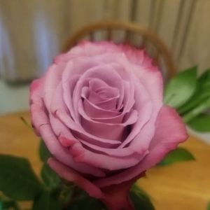 Meet your Posher, Shawna